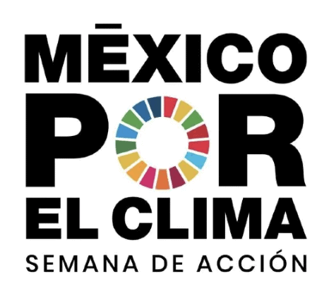 Screenshot 2025-12-22 at 12.04.26 p.m.